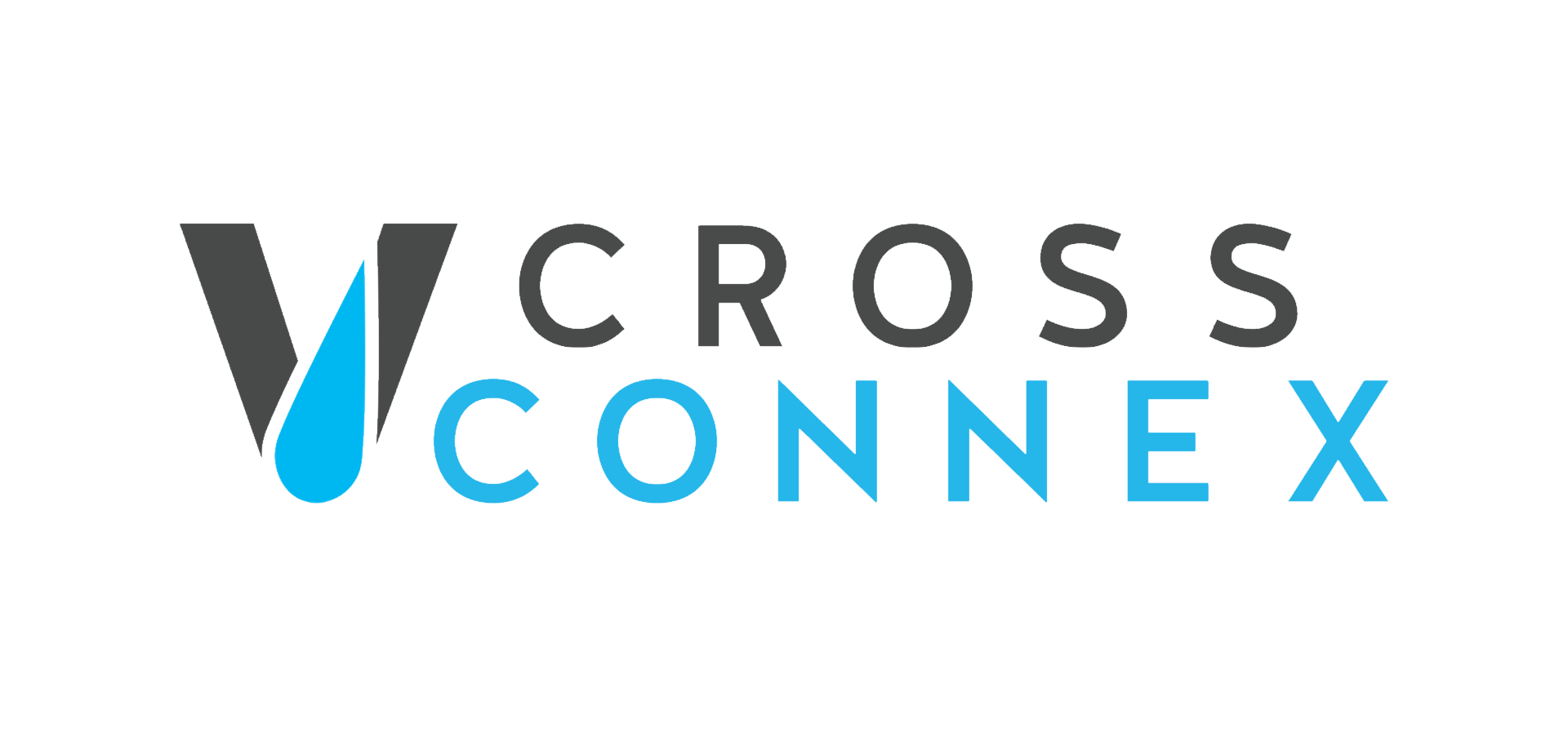 Vepo Cross Connex Logo